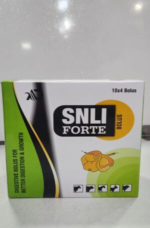 SNLI Forte Bolus
